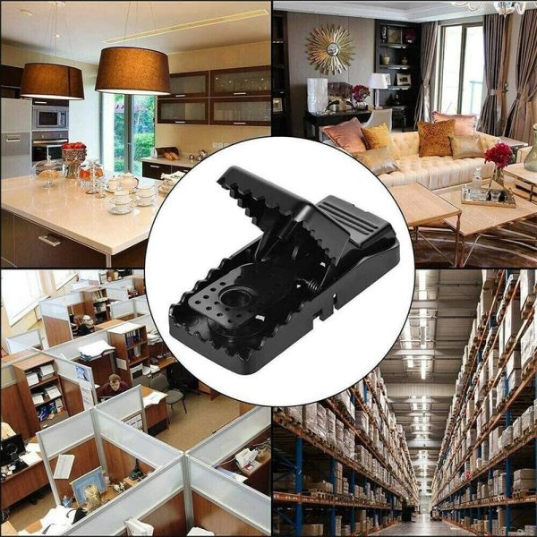 Piège à souris ménager délicat (6 pièces) Angebot