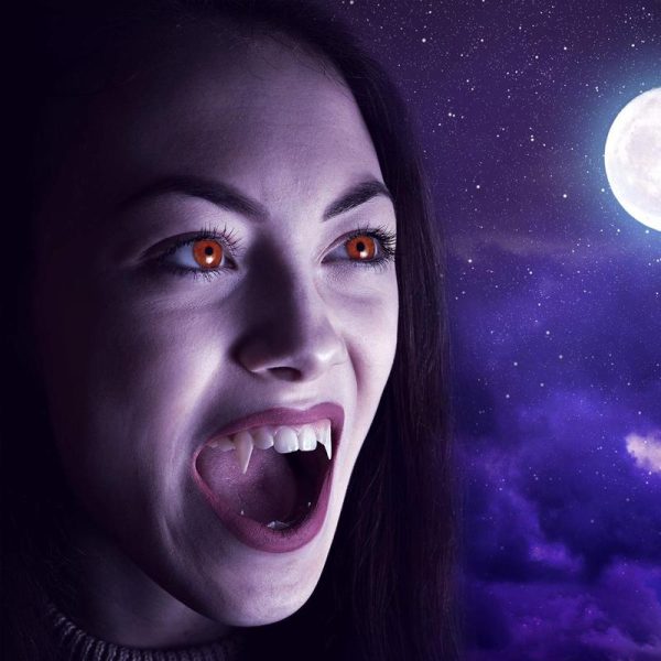 Crocs de Vampire Rétractables Online-Verkauf – Bild 2